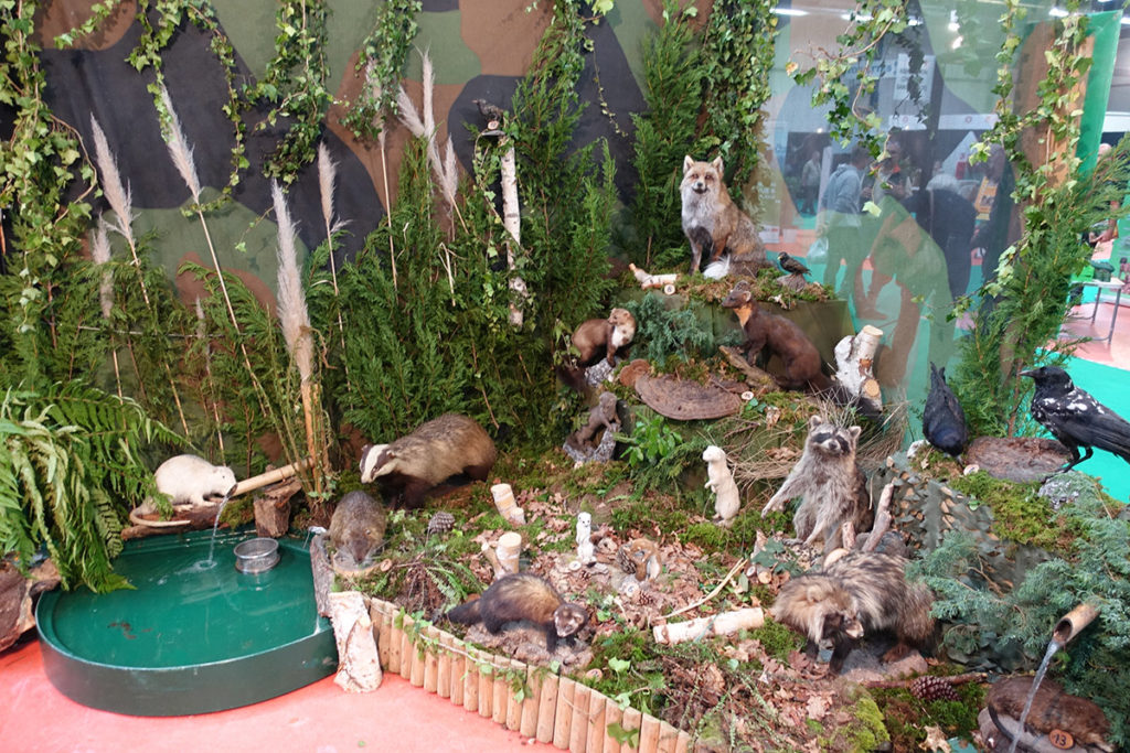 Animaux Jeux