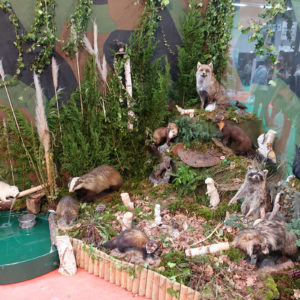 Animaux Jeux