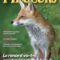 Journal des piégeurs